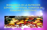 Bioquimica de nutricion