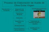 Proceso de elaboración de aceite de oliva extra