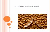 Power point  gastaldello-claudia- Circuito productivo de soja