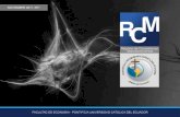Presentacion rcm (actualizada)