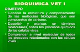Bioquimica veterinaria i