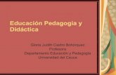 2005 02-07 educacion-pedagogia-didactica