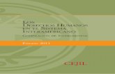 Los derechos humanos en el sistema interamericano 2011