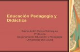 Educacion Pedagogia Didactica  Rafael Florez