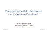 Caracterització del l’oblit en un cas d’Amnèsia Funcional per Núria Pujals-  Sessió de Residents 2013-2014 - Hospital Universitari Institut Pere Mata