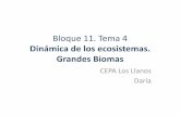 Bloque 11 tema 4 dinamica de los ecosistemas. grandes biomas