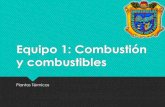 Combustion y combustibles