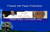 Frases del papa francisco