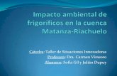 Impacto Ambiental De Frigorificos En La Cuenca Matanza Riachuelo