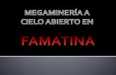 Megamineria famatina (1)