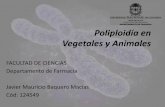Generalidades de poliploidia en insectos y plantas