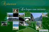 Asturias | WebAFM.com