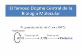 Dogma central de la biologia molecular