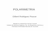 Polarimetria 2013 analisis instrumental