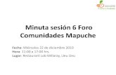 040111 minuta sesión 6 foro comunidades mapuche