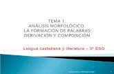 Tema 1 análisis morfológico. composición y derivación 2012 13
