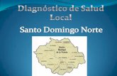 Diagnostico de salud local Santo Domingo Norte