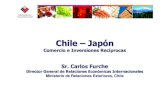 2009 carlos furche, comité empresarial chile japón, abril
