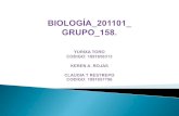 Biología 201101 grupo_158