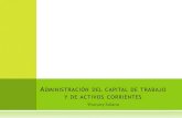 Administración capital de trabajo y activos corrientes