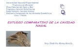 Cavidad nasal comparada