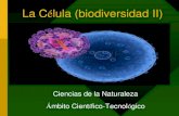 La célula (biodiversidad Parte 2)