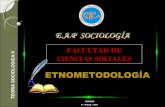 Etnometodologia (grupal)