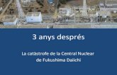 3 anys desprès de la catàstrofe de la central nuclear de Fukushima