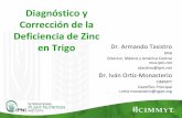 Diagnostico y correccion de la deficiencia de Zinc en trigo