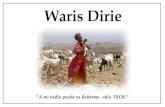 WARIS DIRIE (HISTORIA VERIDICA)