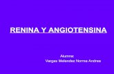 Renina Y Angiotensina Andrea V.