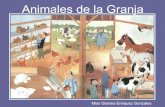 Animales De La Granja 2008