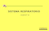Clase 18; sistema respiratorio