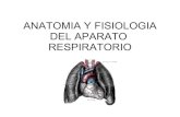 Anatomía Y Fisiologia Respiratoria