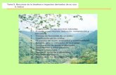 Recursos de la biosfera e impactos derivados de su uso