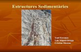 Estructures SedimentàRies
