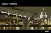 Arup Pedestrian Bridge Brochure (Spanish Version)