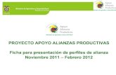 Presentacion ficha de perfiles 2012