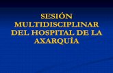 Sesion Multididsciplinar Del Hospital De La Axarquia