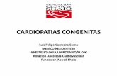 Cardiopatias Congenitas PEDIATRIA2008