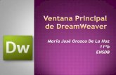 Ventana principal de dream weave (1)