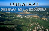 Urdaibai, reserva de la biosfera