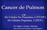 Cancer de pulmon 2013 pptx