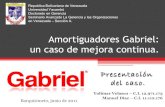 Gabriel de venezuela - presentacion del caso. diaz - velasco