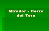 Mirador-Cerro del Toro