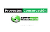 Proyectos de Conservación - Sesión 1. Negocios Ambientales (Negocios basados en la biodiversidad)