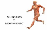 11.2.Músculos y movimiento