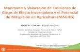 Monitoreo y Valoración de Emisiones de Gases de Efecto Invernadero y el Potencial de Mitigación en Agricultura