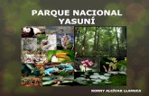 Parque nacional yasuní