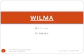 Wilma 63hrs 36 Meses